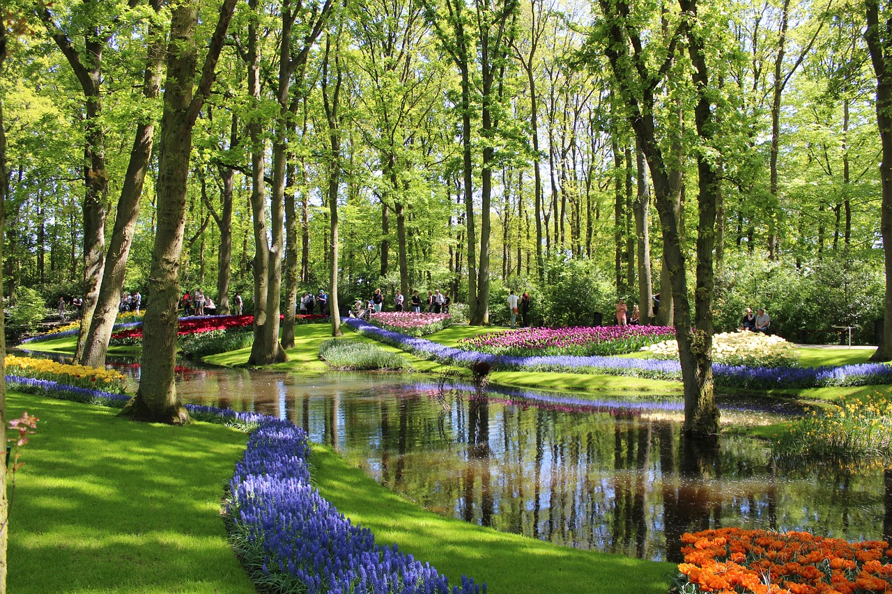 Den Haag - Keukenhof - Zeegse