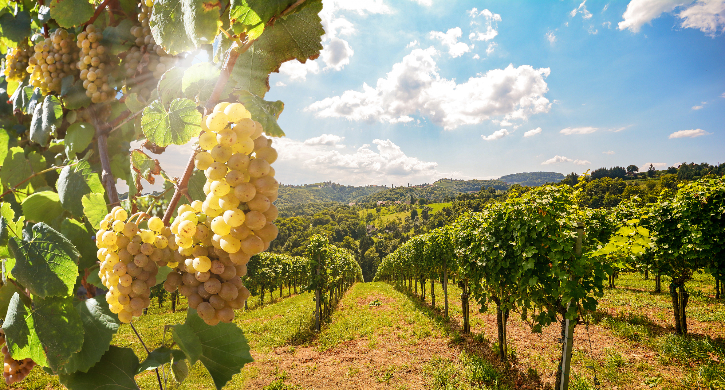 Valpolicella